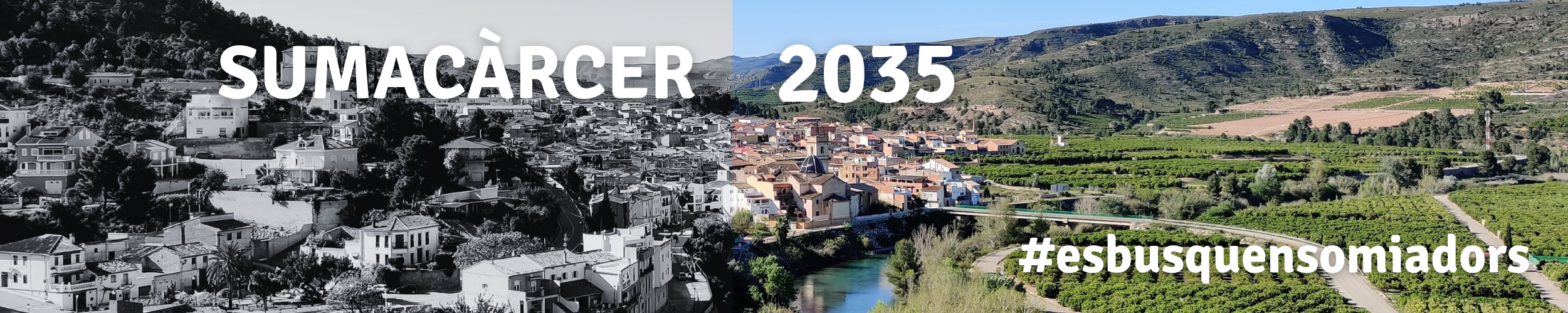 SUMACÀRCER 2035